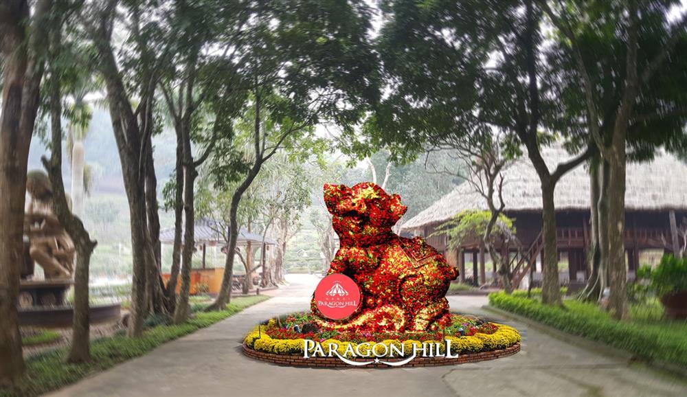 Ngắm hoa và “lướt sóng giữa đại ngàn”…